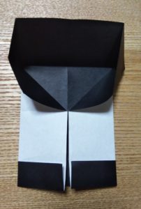 折った一枚の黒い折り紙