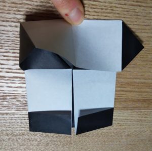 折った一枚の黒い折り紙